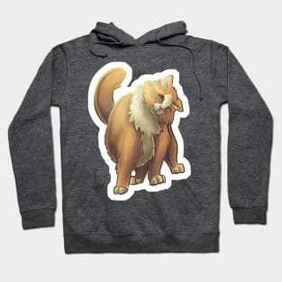 Fluffy Orange Cat Hoodie